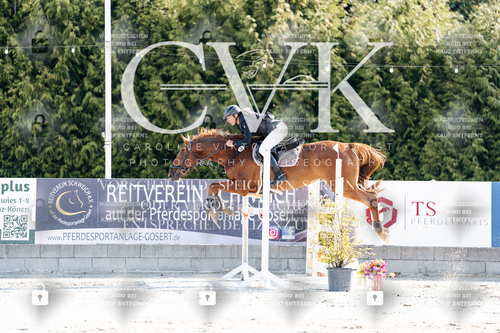 CK901766 | Turnierfotografie Pferdefotografie Trier Rheinland-Pfalz Pferdesport Reitsport Tierfotografie Sportfotografie Pferdevideo Pferdevideografie Equestrianvideography equestrianphotography  - Realisiert mit Pictrs.com