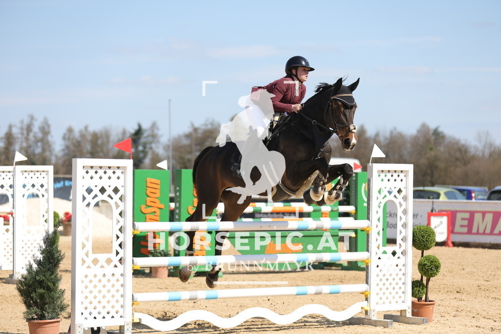 0P6A1015 | Willkommen bei Brunnmayr - Design & Fotografie – Ihrem Spezialisten für Reitturniere und Pferdeveranstaltungen in Oberösterreich, Salzburg und Bayern! Seit über 17 Jahren sind wir leidenschaftlich dabei.