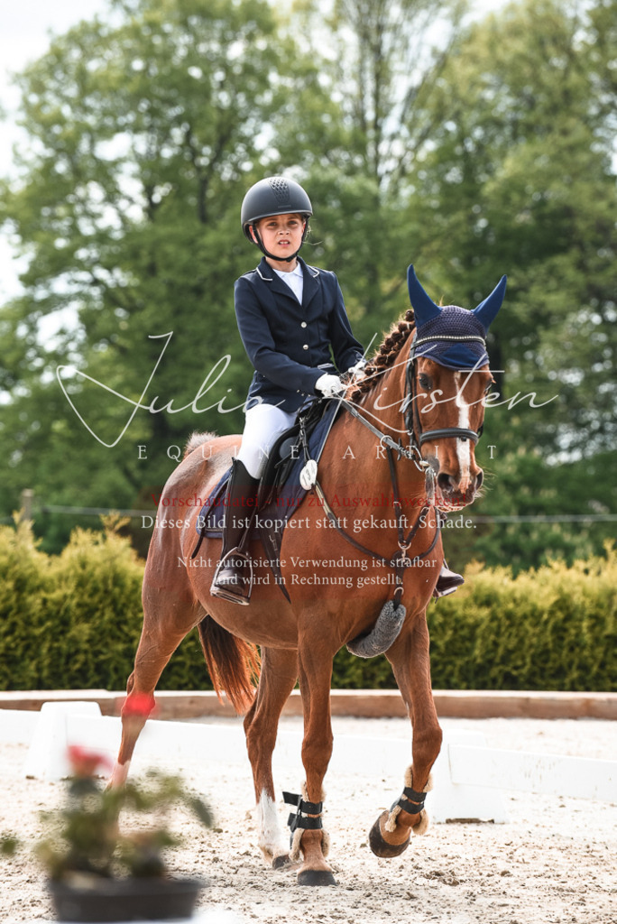 20230518_JK-Röhrsdorf-10-050 | Pferde- und Turnierfotografie in Westsachsen. Pferdeportraits, Auftragszeichnungen und intuitive Kunst.
