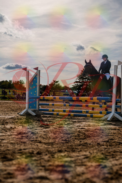 2026_10_03_Siefer-Hof_160759_Z63_12502616 | Professionelle Reitsport-, Turnier- und Eventfotografie von Robert Broda. Galerien mit ausgewählten und bearbeiteten Bildern direkt online ansehen und bestellen.
