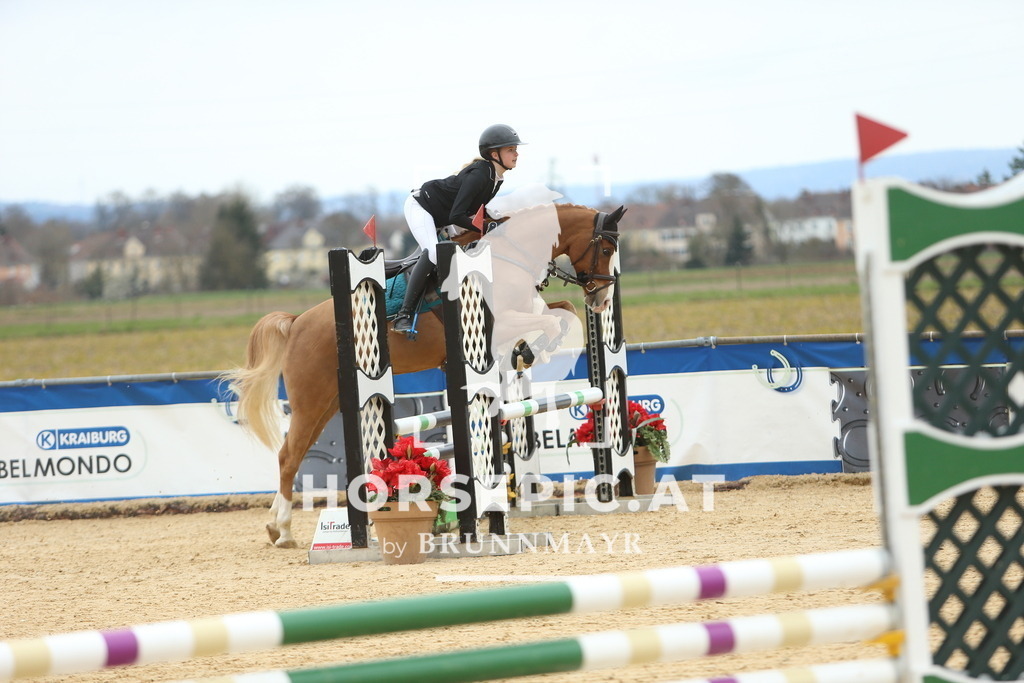 DL2Q1499 | Willkommen bei Brunnmayr - Design & Fotografie – Ihrem Spezialisten für Reitturniere und Pferdeveranstaltungen in Oberösterreich, Salzburg und Bayern! Seit über 17 Jahren sind wir leidenschaftlich dabei.