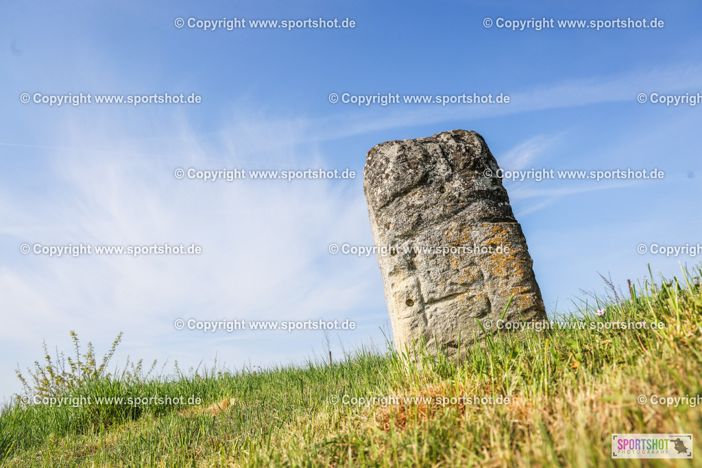 007A8549 | Neusiedlersee Radmarathon #neusiedlerseeradmarathon #neusiedlersee #nrm26 #yourpictrs #sportshot_your_pictrs