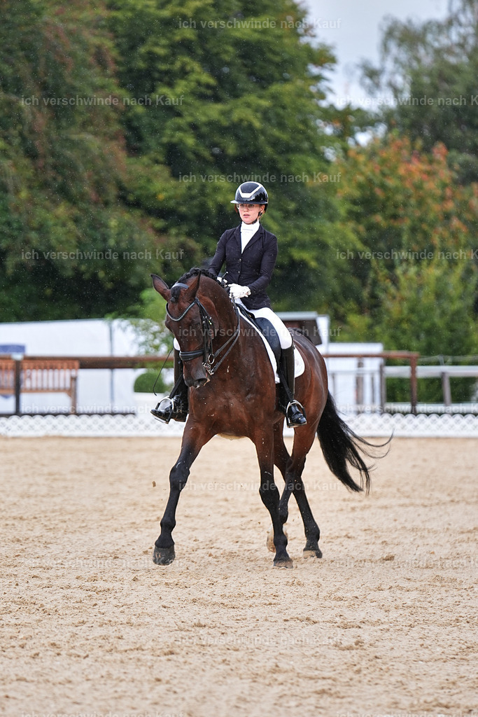 05-022-DRESSUR M_  -Marixx-4966 | working equitationturnier fotograf videograf stoibphotography marixx film working equitation deutschland reitsport turnierfotografie eventfotografie equestrian events