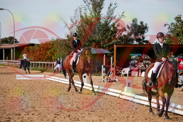2026_10_03_Siefer-Hof_131123_Z63_74789734 | Professionelle Reitsport-, Turnier- und Eventfotografie von Robert Broda. Galerien mit ausgewählten und bearbeiteten Bildern direkt online ansehen und bestellen.
