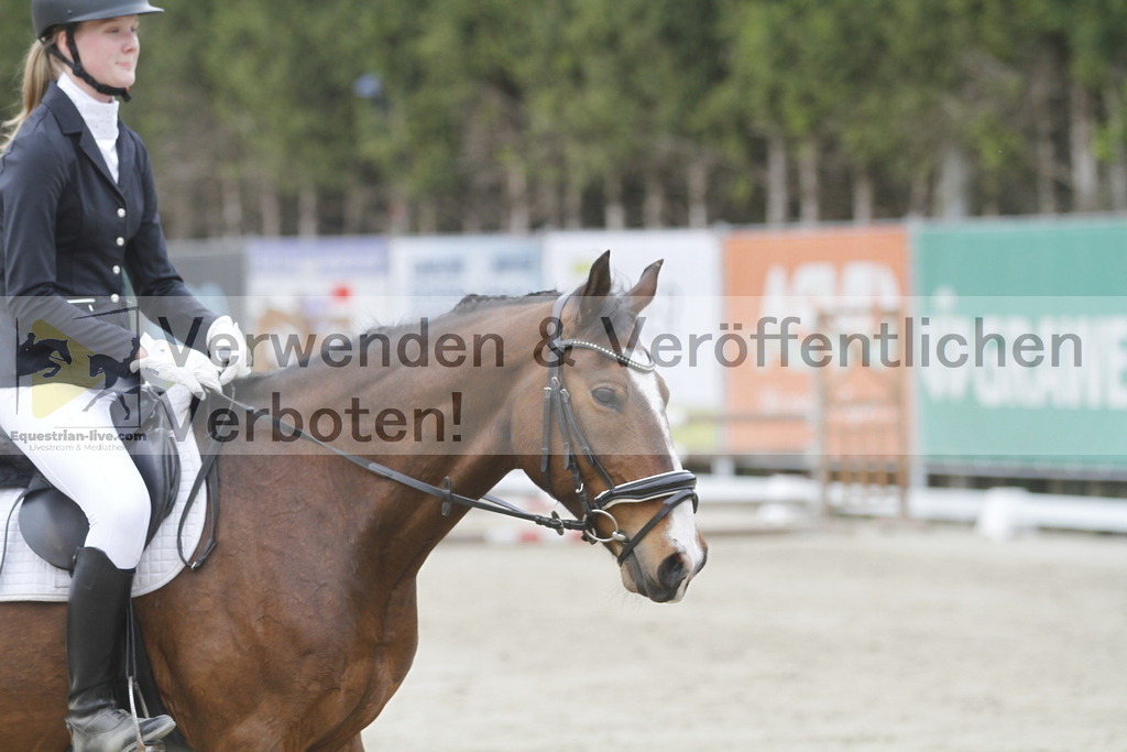 _MG_5242 | equestrian-live-com