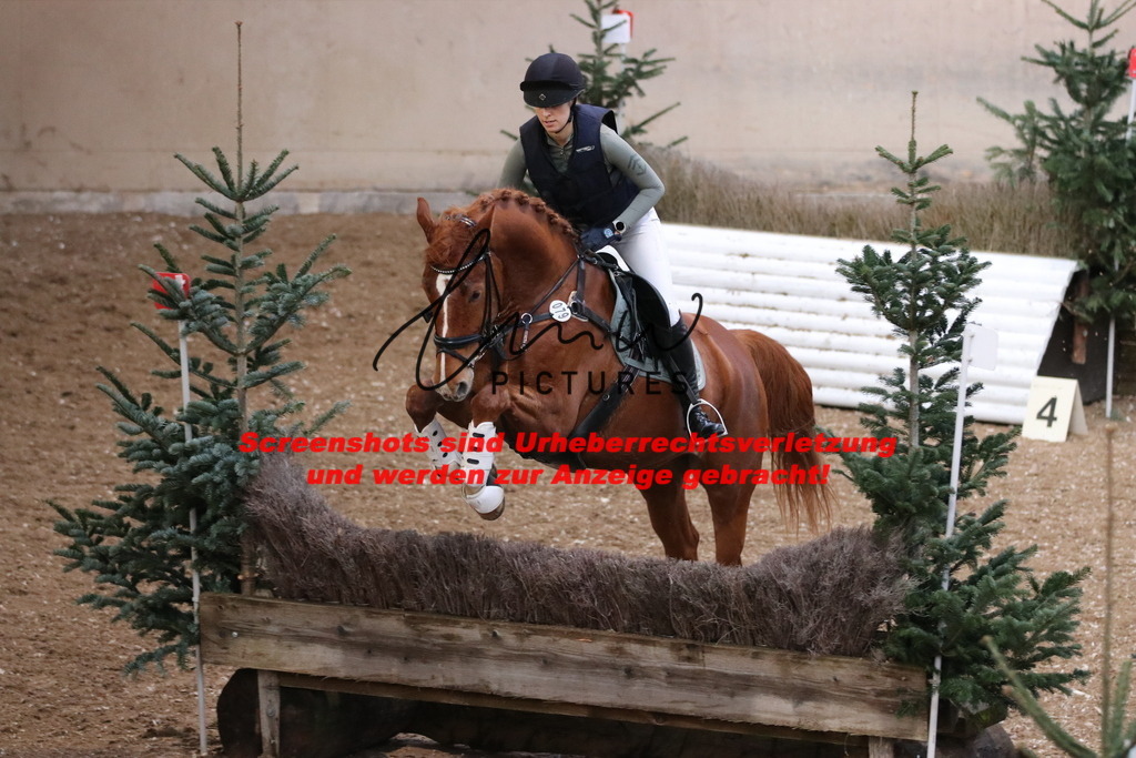 IMG_9608 | lmwpictures - Realisiert mit Pictrs.com