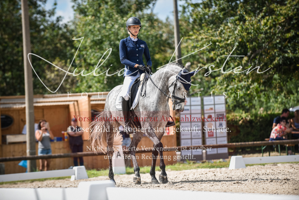 DSC_9256 | Pferde- und Turnierfotografie in Westsachsen. Pferdeportraits, Auftragszeichnungen und intuitive Kunst.