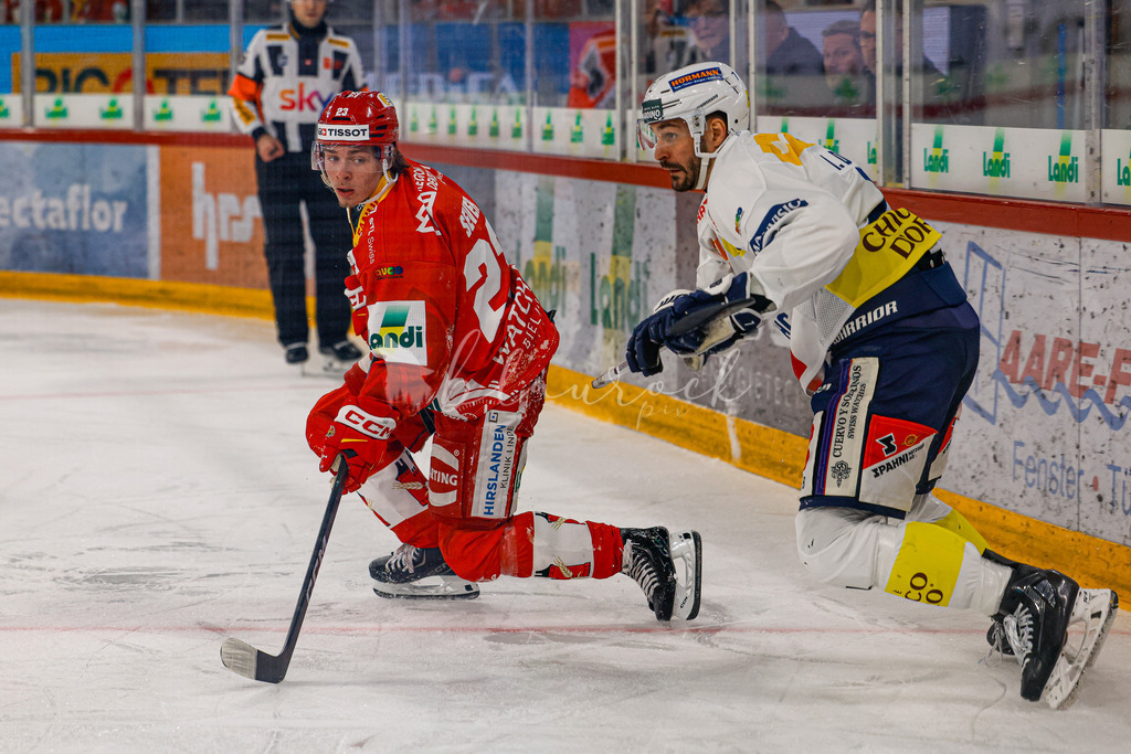 EHCB vs HCAP 20260115_wb-4227 | Sportbilder, Sportfotograf, Hochzeits- und Eventfotografin, Flugshows, Portraits und Tiershooting, Aviation, Downhill, Nationalleague, Swissleague, International