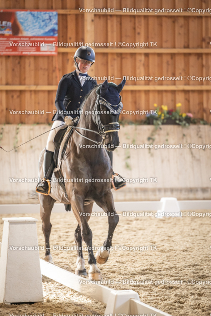 _D5A9543 | Emotionale Pferde- & People-Fotografie rund um Heidelberg, Leimen & Umgebung. Natürliche Fotos von Pferd, Mensch & Familie. Jetzt Termin sichern!