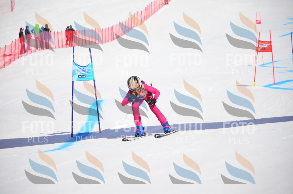 VR4_9921 | holidayphoto