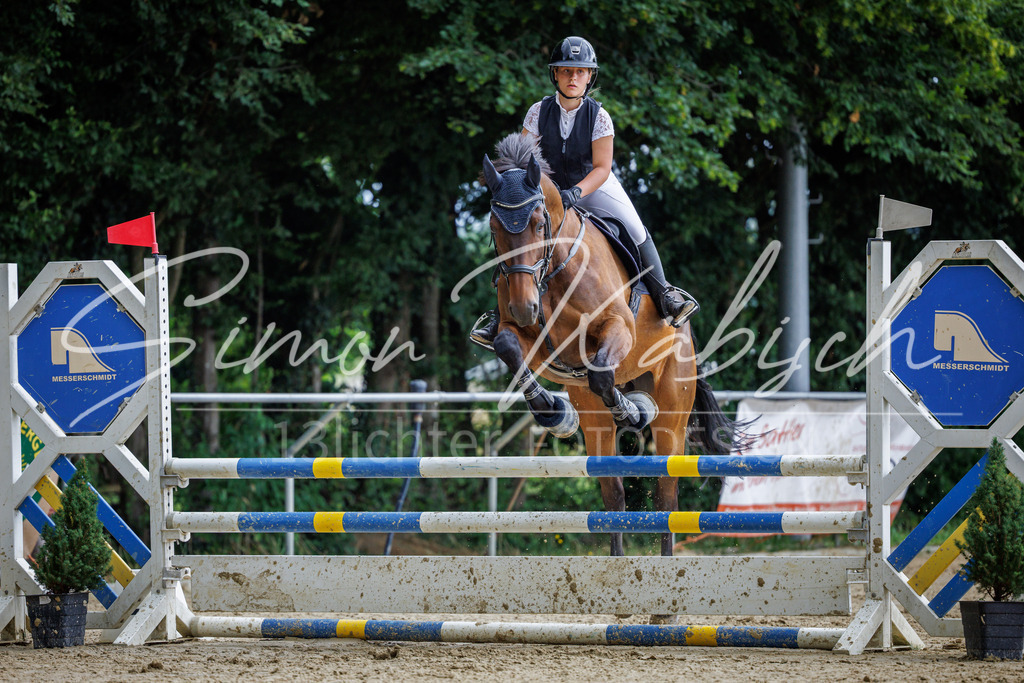 20260705-_3LI4973 | Tierfotografie Pferde, Hunde, Katzen, Haustiere.
Turnierfotografie Reitturniere, Reiten, Springreiten, Dressur in Hanau, dem Main-Kinzig-Kreis und dem Rhein-Main- Gebiet um Frankfurt