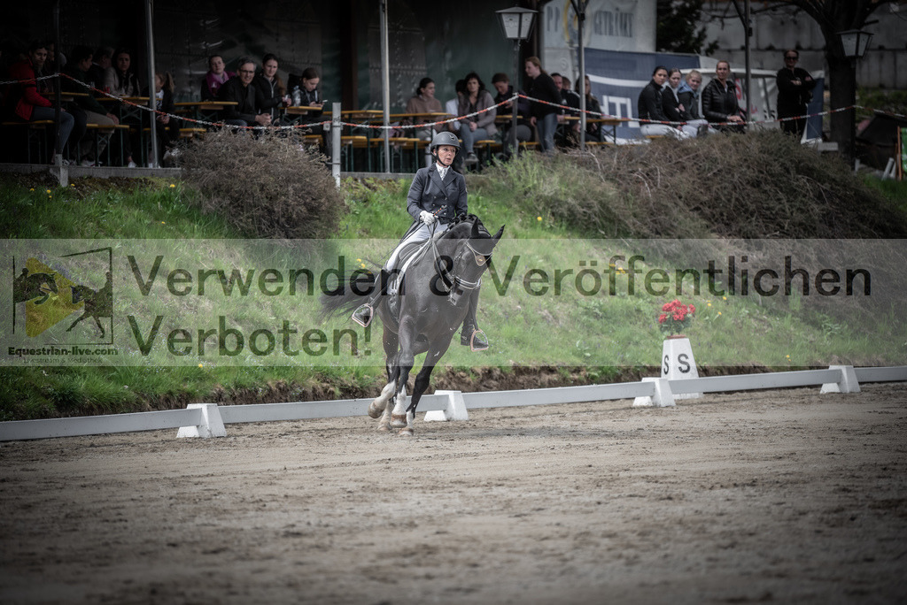 DSC_2686 | equestrian-live-com