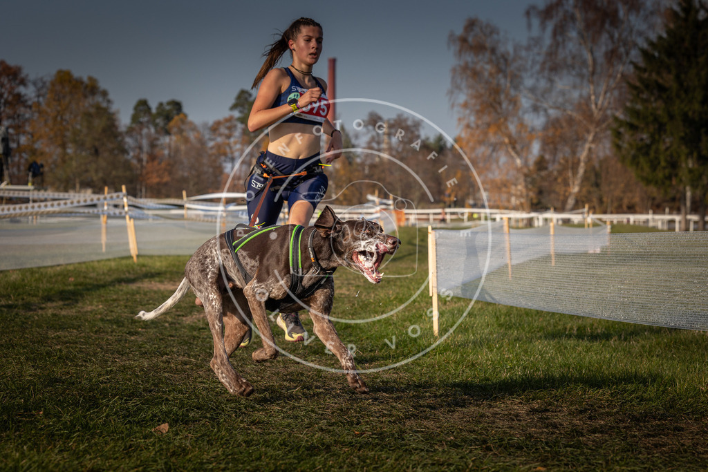 CaniXpix_0L8A9867 | Hundefotografie, Tierfotograf, Pfotenfotografie, Fotoshooting Hund, Hunde Portrait, Hundesport, Hundeportraits, Heideshooting, Hunde, Sportfotograf, Hundefotograf, Turnierhundsport, THS,  - Realisiert mit Pictrs.com