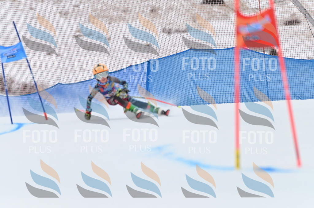 BGV_9794 | holidayphoto