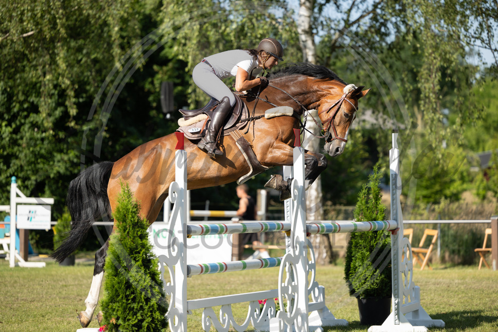 994A4092 | sabrinanicolaifotografie - Realisiert mit Pictrs.com