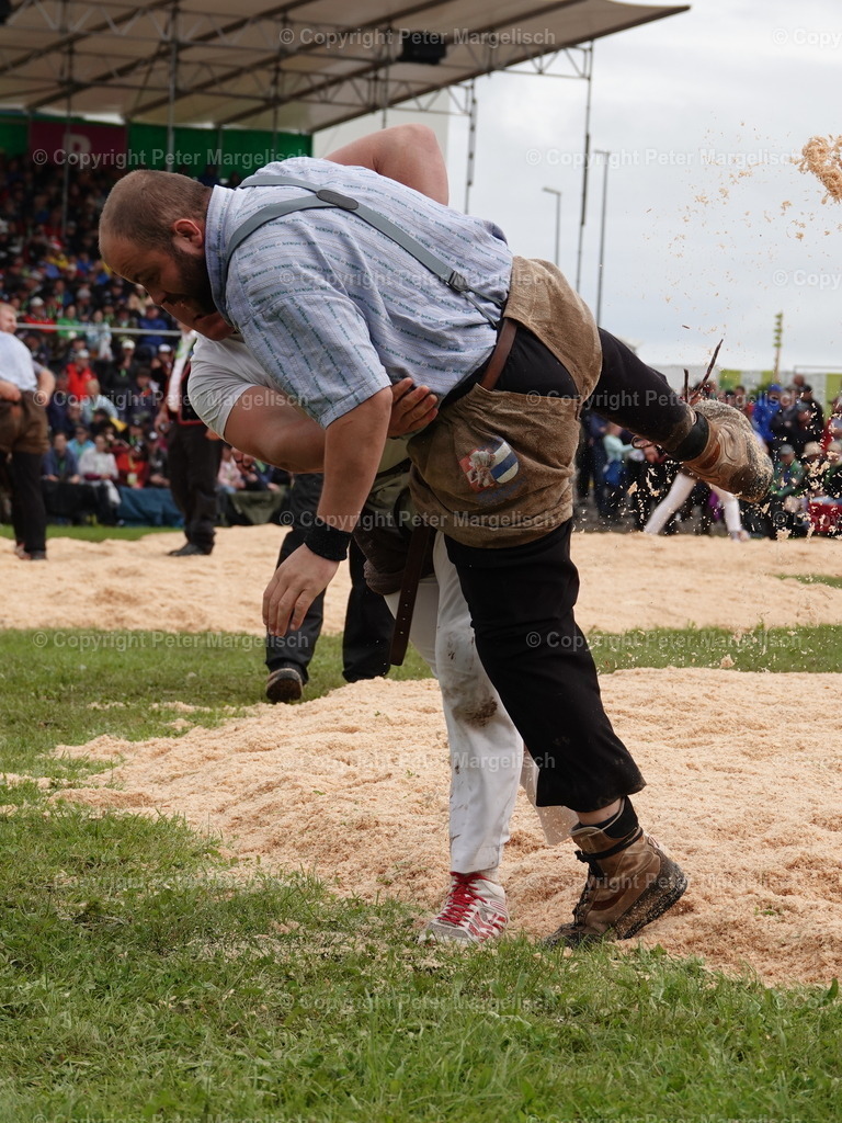 DSC08009 | Schwingen - Realisiert mit Pictrs.com