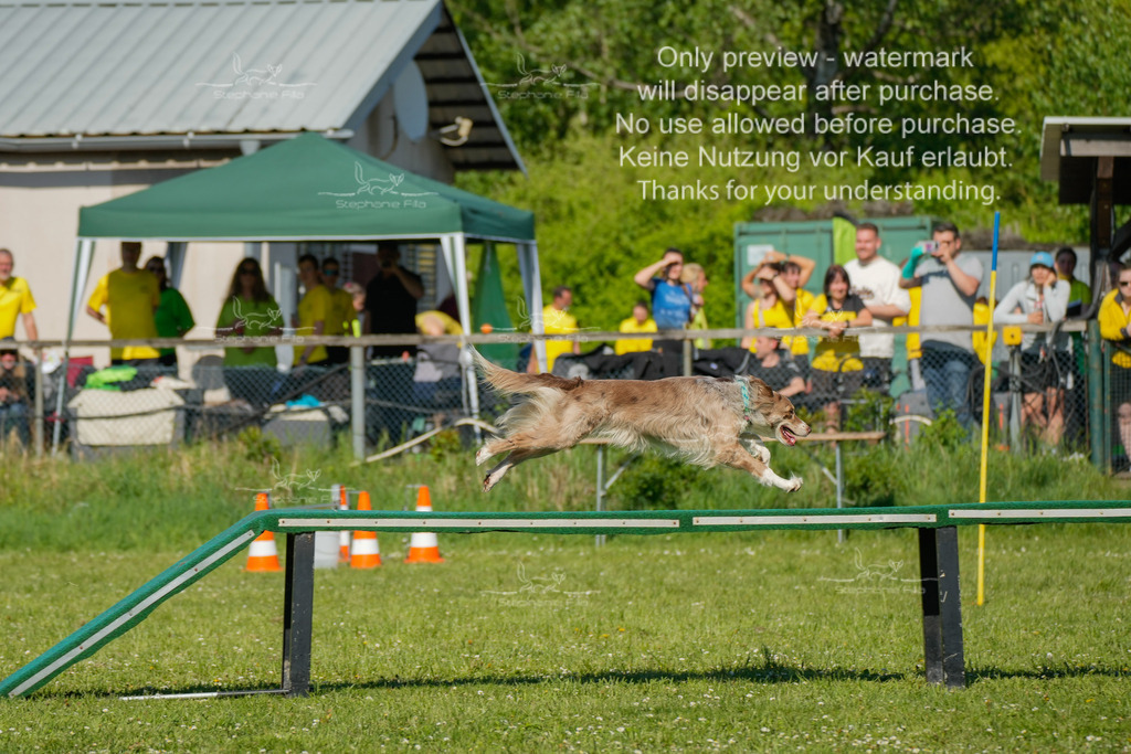 Sa_CSC-132 | stephaniefillaphotographie - Realisiert mit Pictrs.com