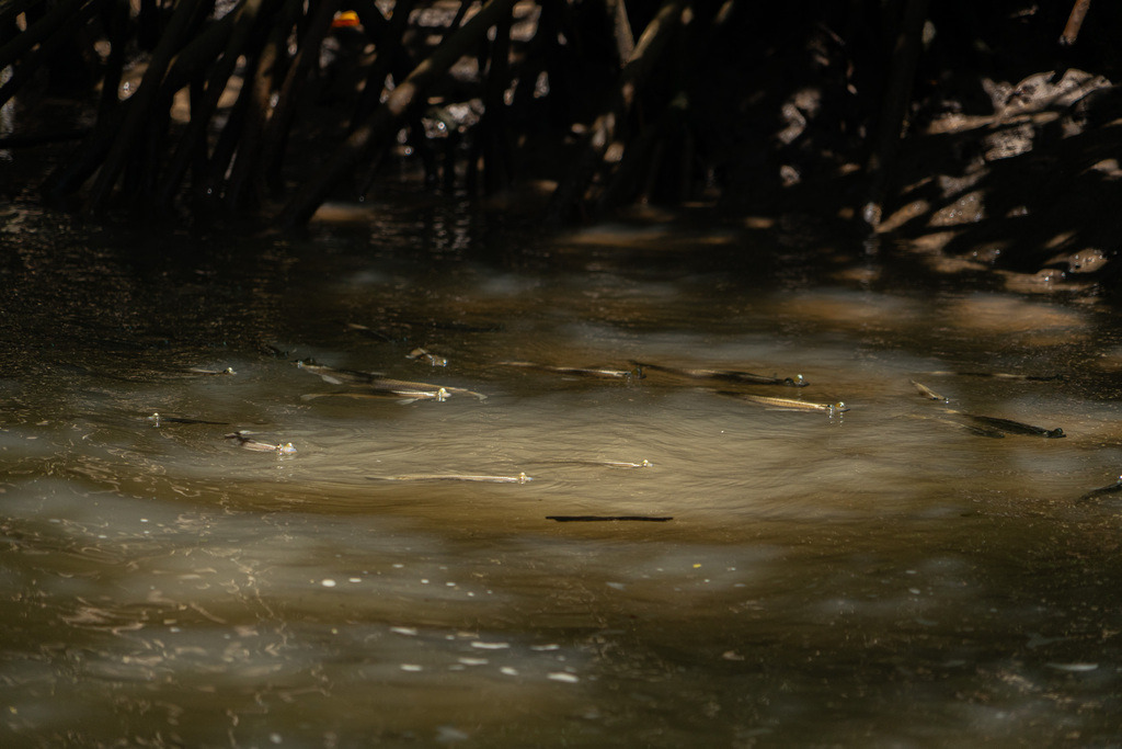 DeltaTour 30.10.25 | paulependelt - Realisiert mit Pictrs.com