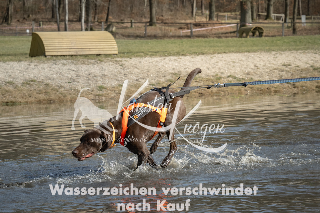 1246_ZZ92039 | kk-dogfotos
