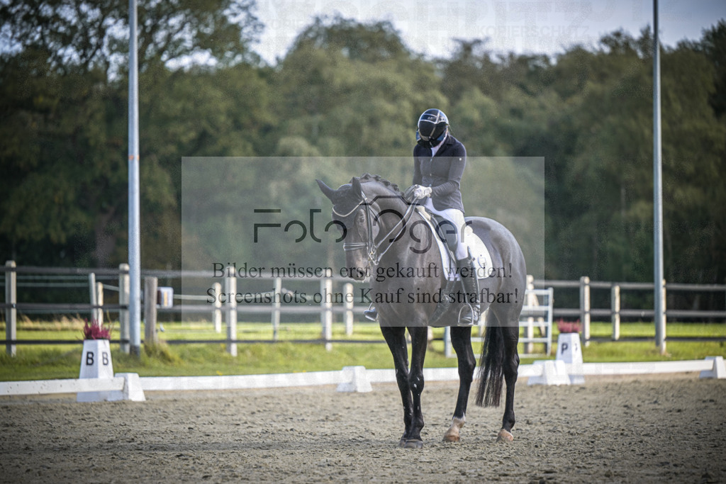 DOS_0223 | Entdecke hochwertige Reitturnierfotos von Foto Oger. Professionell, emotional und authentisch – jetzt Lieblingsmomente im Shop bestellen.Deutschlandweite Turnierfotografie. - Realisiert mit Pictrs.com