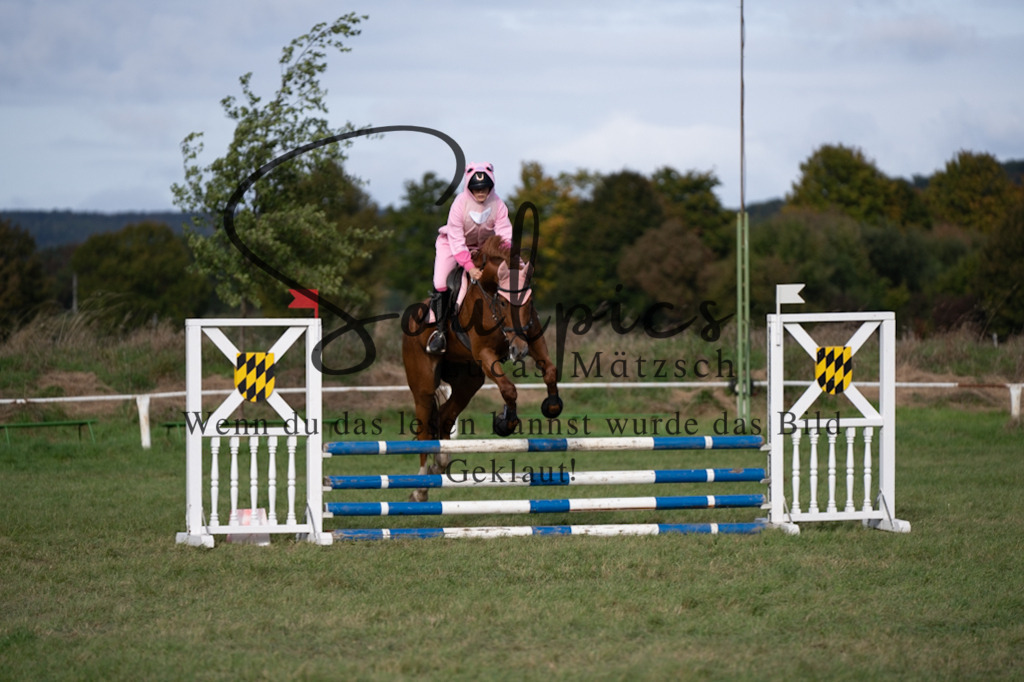 A7V06508 | Pferdefotograf