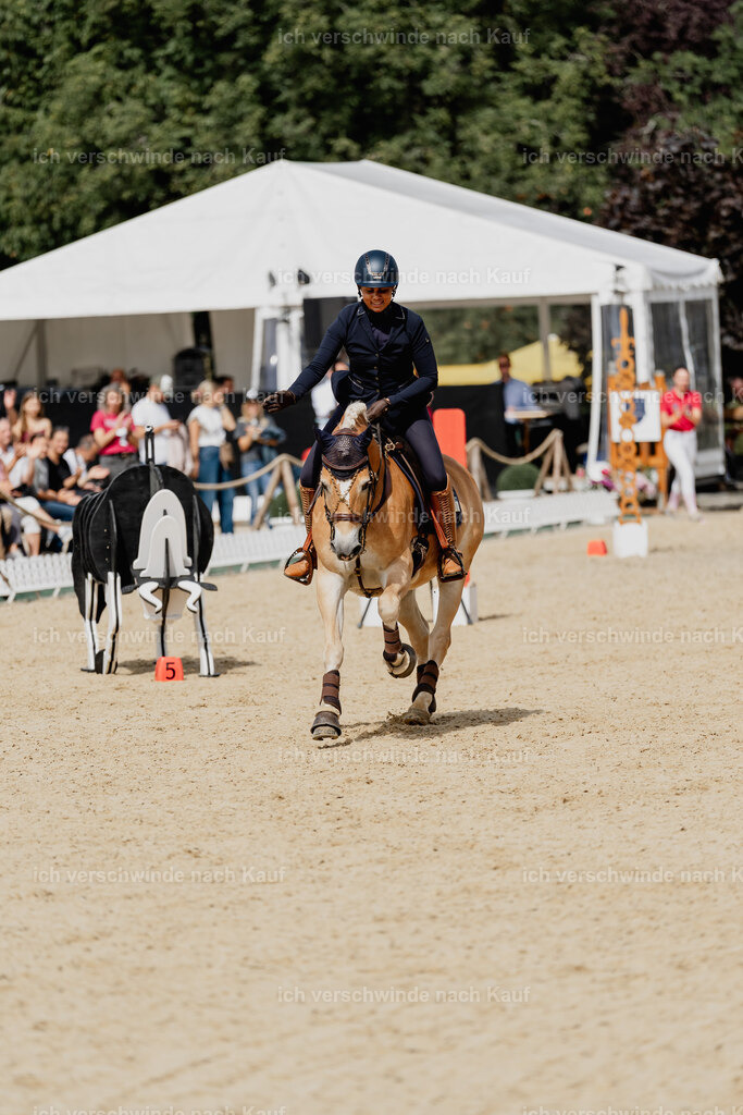 Tanesha5FHC2025-2666 | working equitationturnier fotograf videograf stoibphotography marixx film working equitation deutschland reitsport turnierfotografie eventfotografie equestrian events
