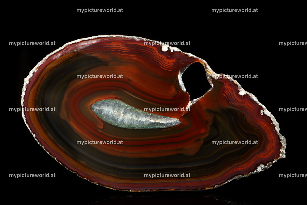 Achat-017 | Das Bilderarchiv über Tiere, Planzen und Landschaften. In der Bilddatenbank finden Sie ein große Auswahl an hochwertigen Bilder für Ihre Werbung - Realisiert mit Pictrs.com