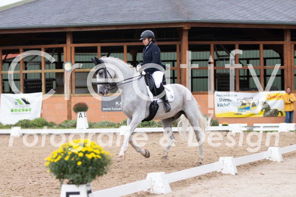 IMG_7351 | Creatify Fotografie