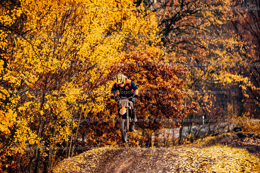 E68A4423 | blick_win_kel