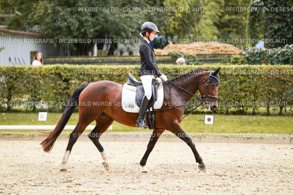 DSC09437 | Pferdegrafie