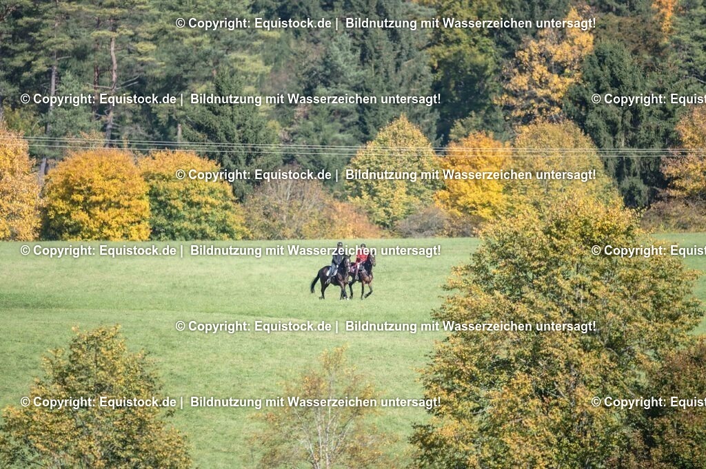 20251011_Jagd-Marbach_0324 | Foto: Thomas Hartig