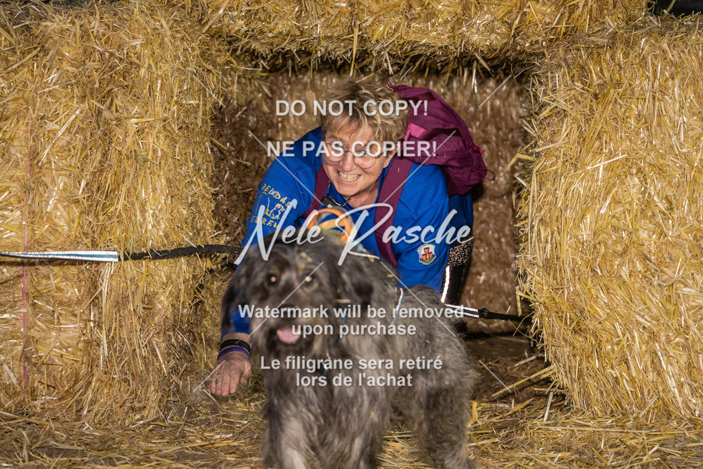 nelerasche_FrNacht_303 | nelerasche