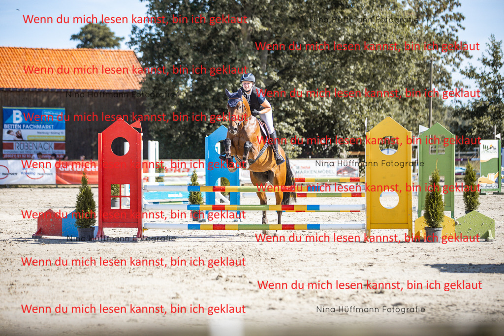 BK1A7165 | Turnierbilder Turnierfotos Nina Hüffmann Turnierfotografie Pferdefotografie Tierzeichnung Haustierzeichnung Pferdezeichnung Hundezeichnung Videograf  - Realisiert mit Pictrs.com