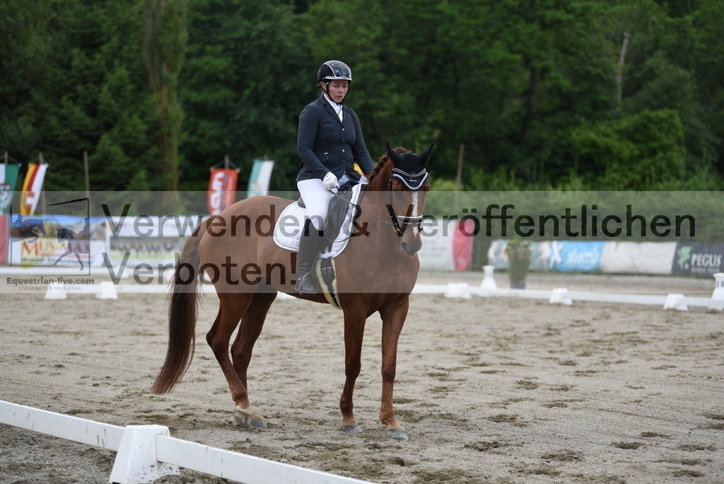 DSC_6411 | equestrian-live-com