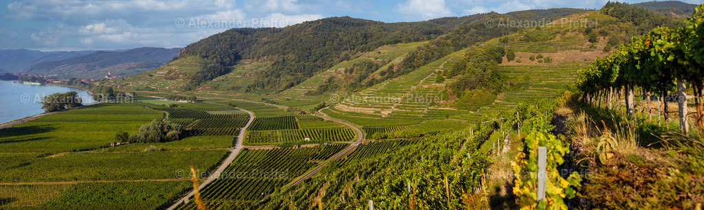 foto_c_pfeffel-partner-0019-R5_14107-Pano-Bearbeitet | alexander-pfeffel - Realisiert mit Pictrs.com