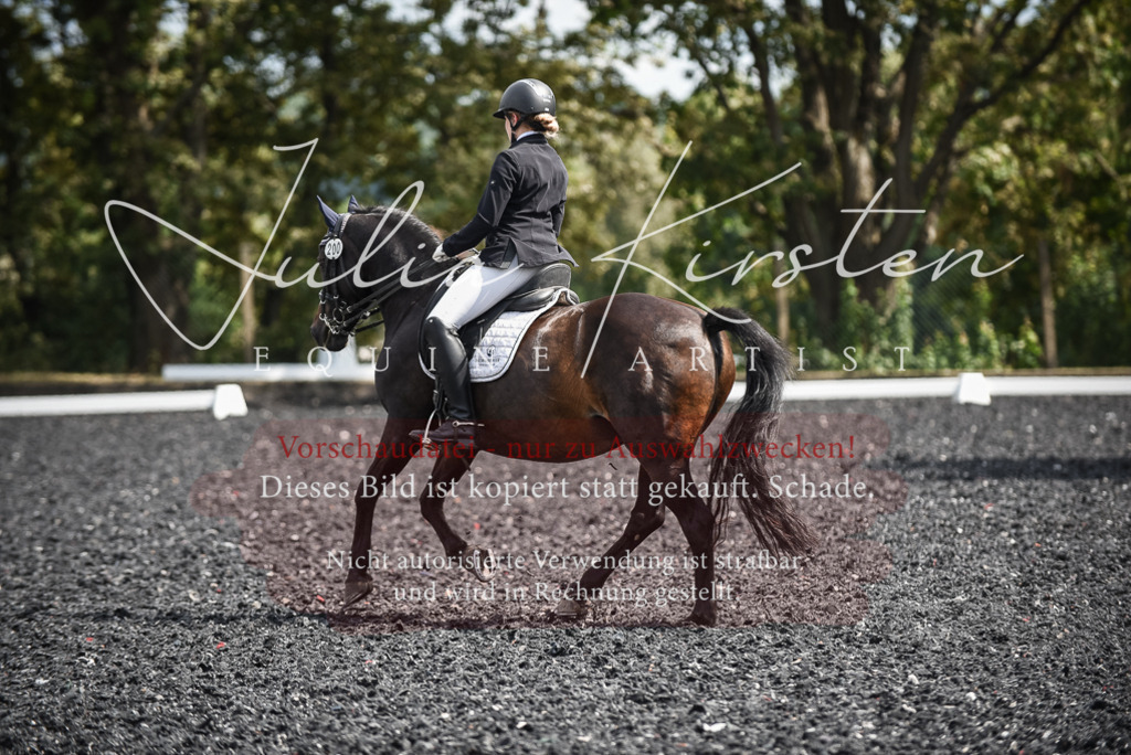 DSC_5121 | Pferde- und Turnierfotografie in Westsachsen. Pferdeportraits, Auftragszeichnungen und intuitive Kunst.