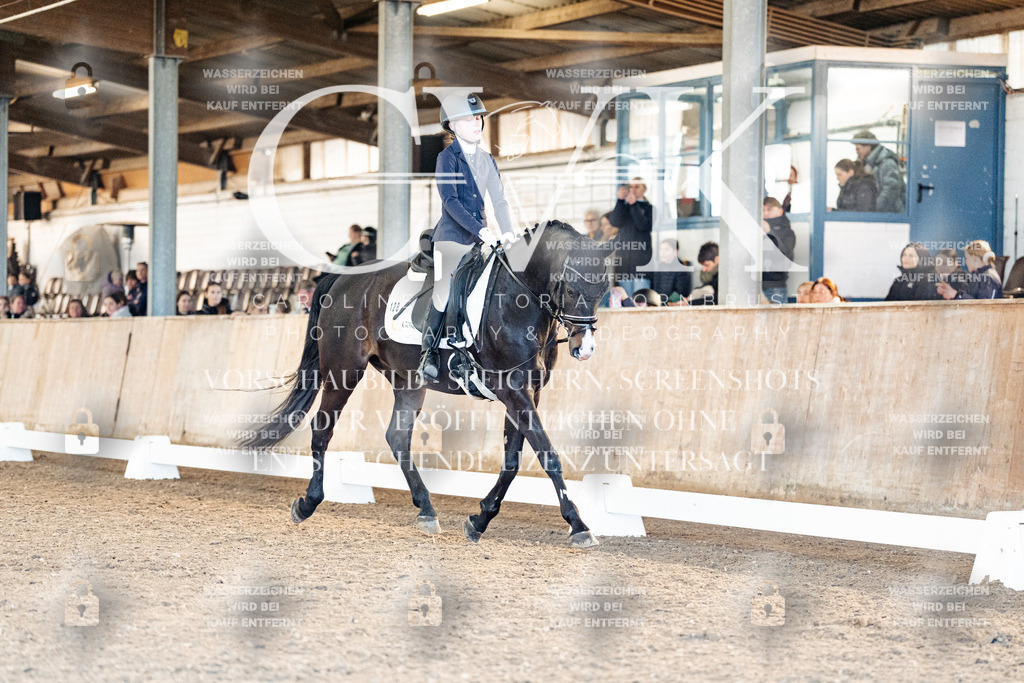 CK908197 | Turnierfotografie Pferdefotografie Trier Rheinland-Pfalz Pferdesport Reitsport Tierfotografie Sportfotografie Pferdevideo Pferdevideografie Equestrianvideography equestrianphotography  - Realisiert mit Pictrs.com
