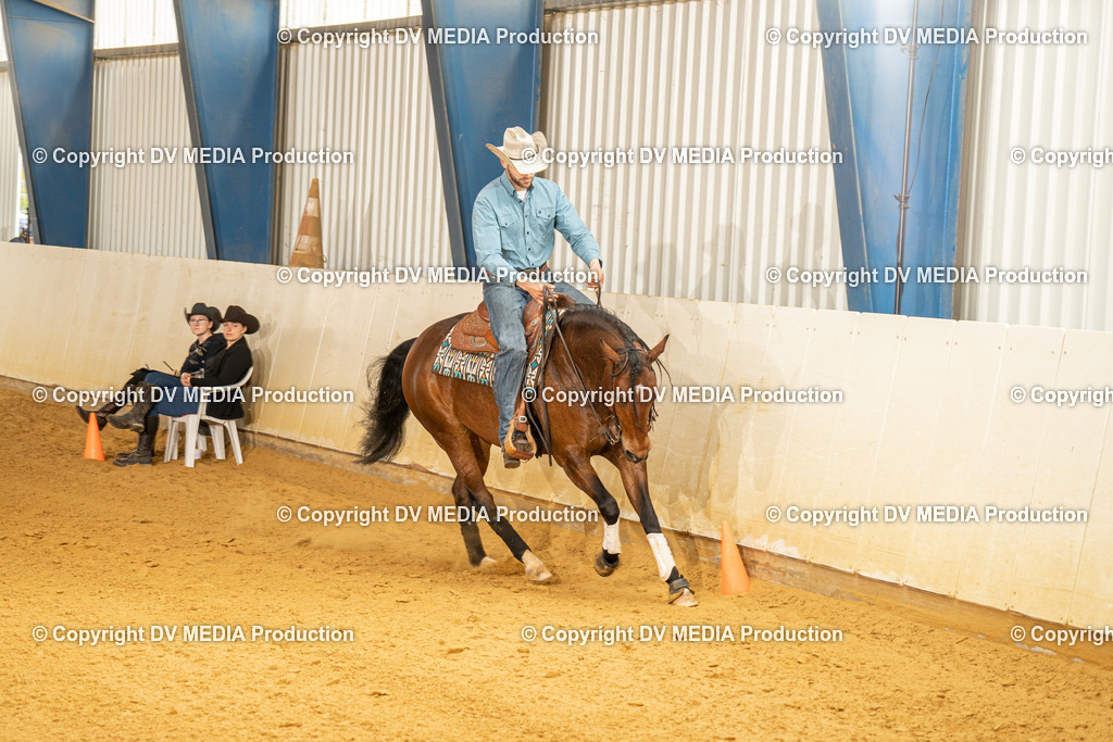 MIT01135 | dv-media-shop - Realisiert mit Pictrs.com