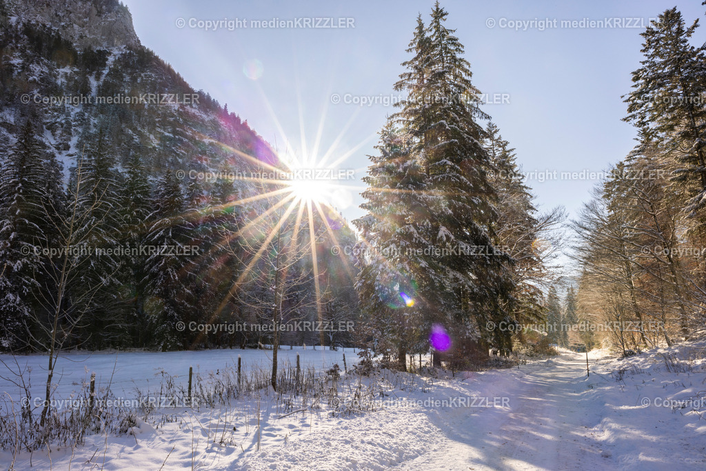 _J3A9623 | medienkrizzler - Realisiert mit Pictrs.com