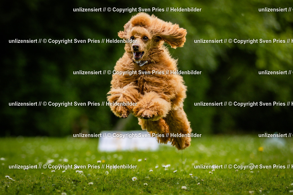 Sven Pries | 2025-05-29 - Pudelrennen KA-Durlach - Realisiert mit Pictrs.com