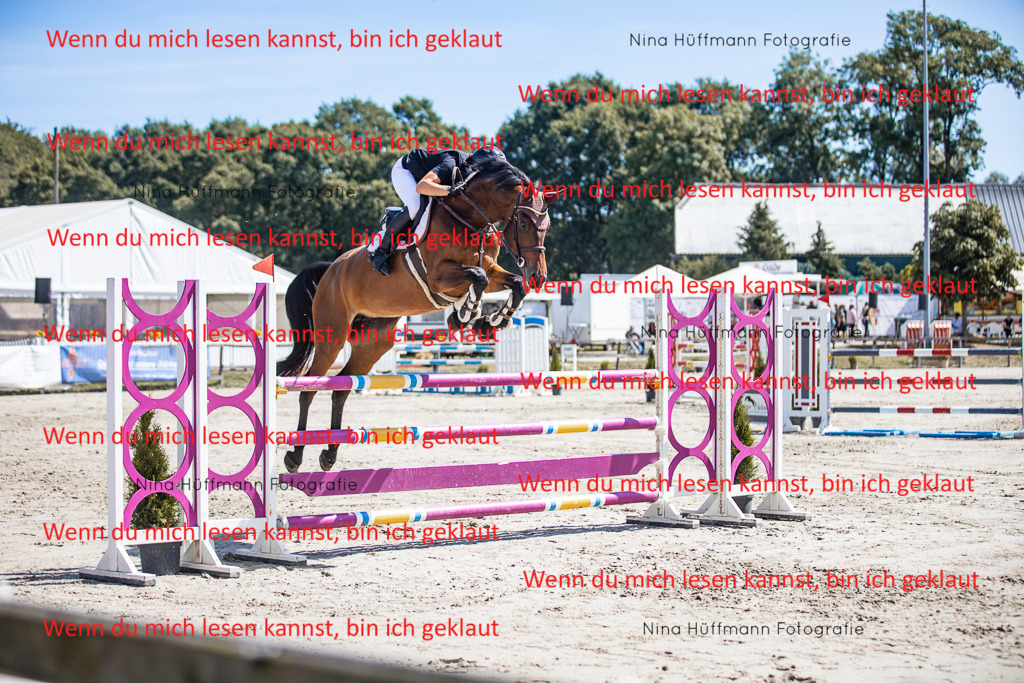 BK1A6337 | Turnierbilder Turnierfotos Nina Hüffmann Turnierfotografie Pferdefotografie Tierzeichnung Haustierzeichnung Pferdezeichnung Hundezeichnung Videograf  - Realisiert mit Pictrs.com