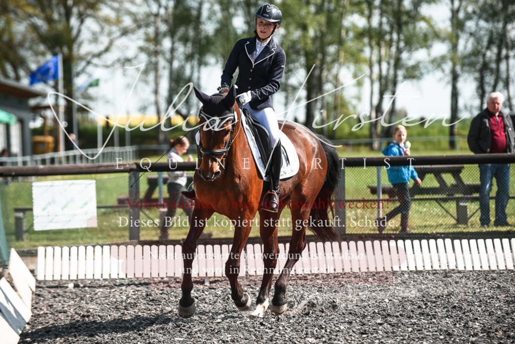 DSC_8892 | Pferde- und Turnierfotografie in Westsachsen. Pferdeportraits, Auftragszeichnungen und intuitive Kunst.