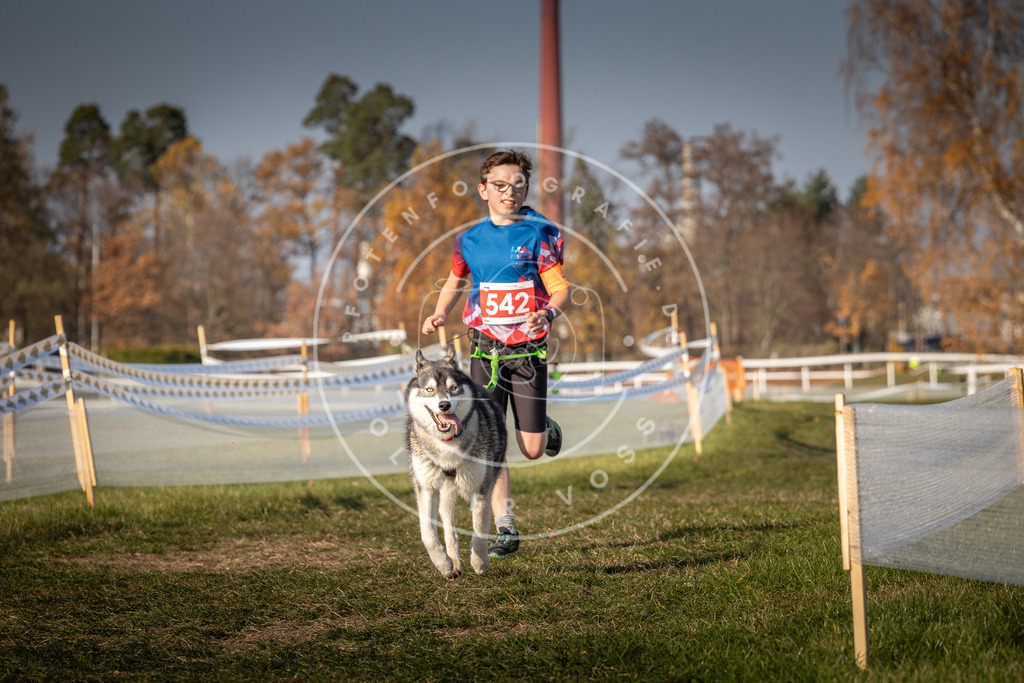CaniXpix_0L8A9043 | Hundefotografie, Tierfotograf, Pfotenfotografie, Fotoshooting Hund, Hunde Portrait, Hundesport, Hundeportraits, Heideshooting, Hunde, Sportfotograf, Hundefotograf, Turnierhundsport, THS,  - Realisiert mit Pictrs.com
