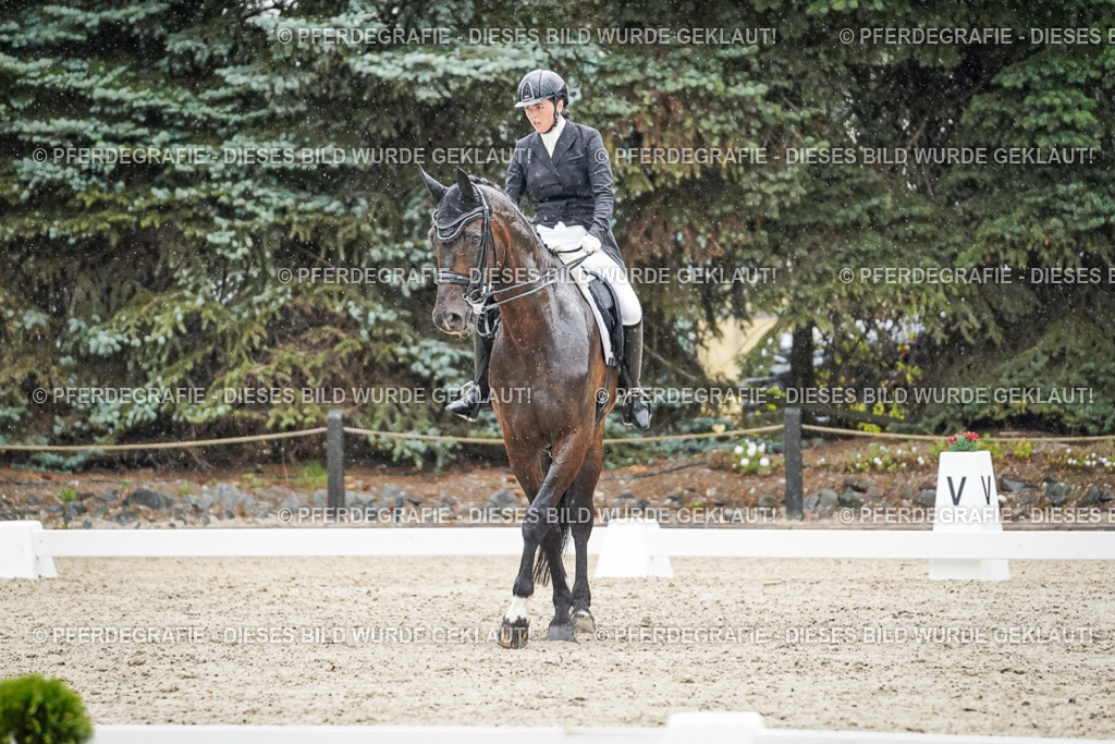 DSC08164 | Pferdegrafie