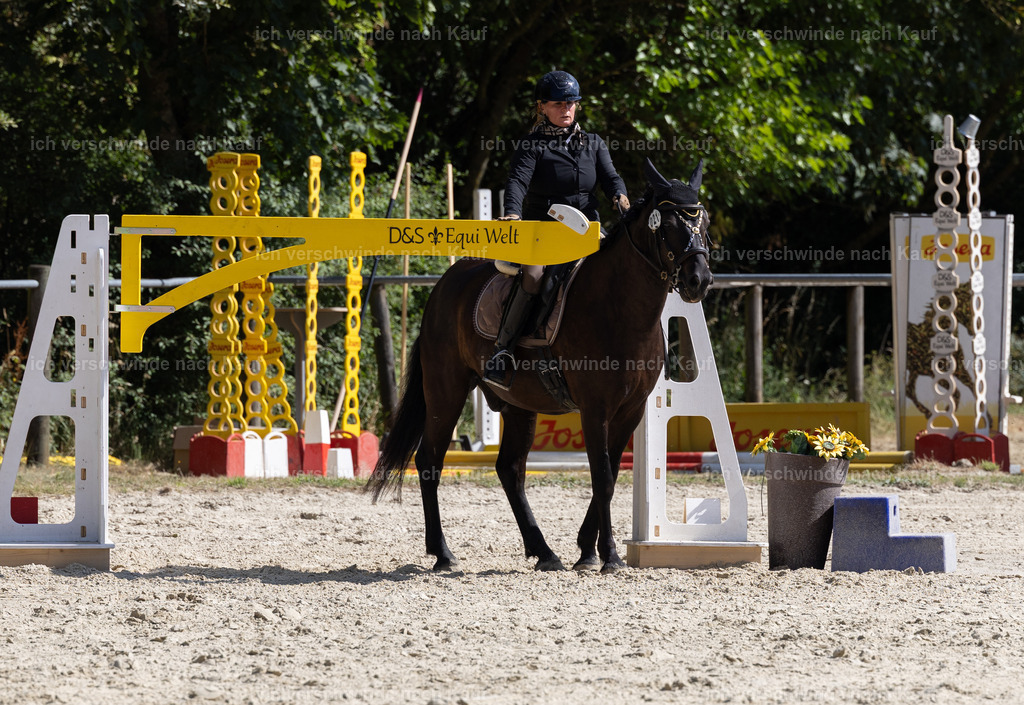 WA_Trail_21_KerstinBernhardt-5 | working equitationturnier fotograf videograf stoibphotography marixx film working equitation deutschland reitsport turnierfotografie eventfotografie equestrian events