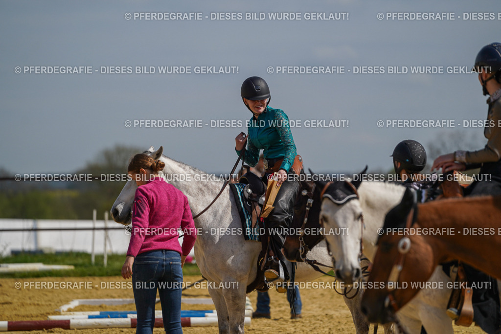 DSC04799 | Pferdegrafie