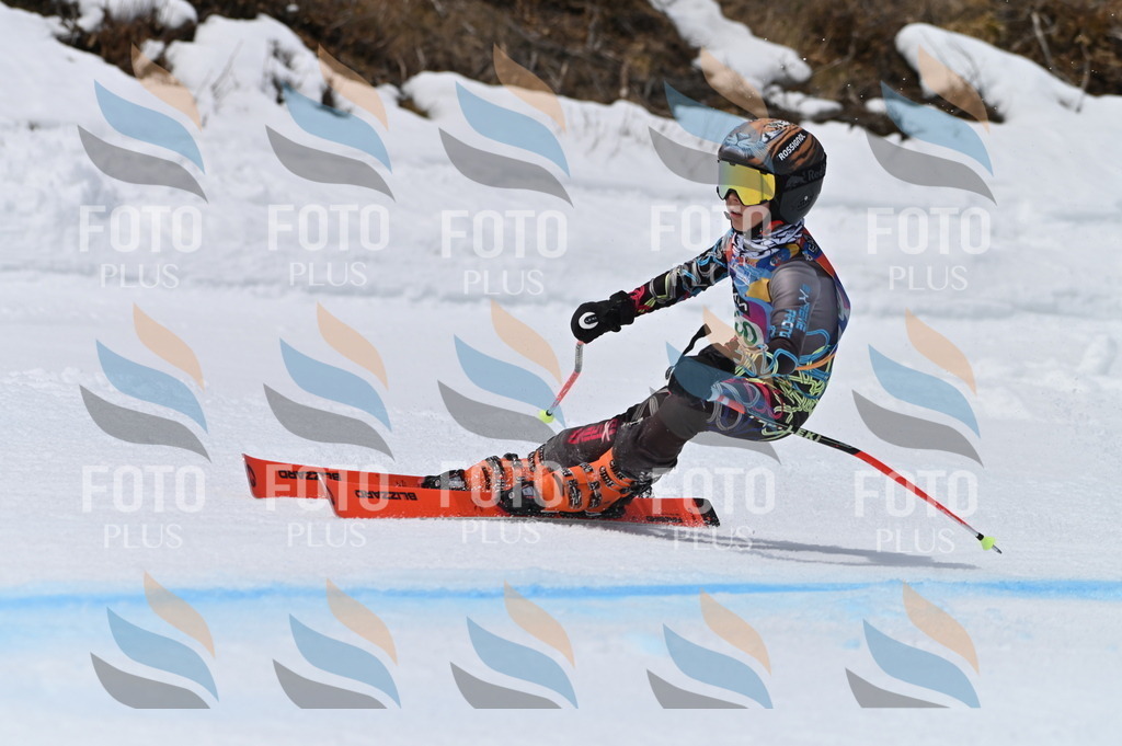 BGV_4560 | holidayphoto