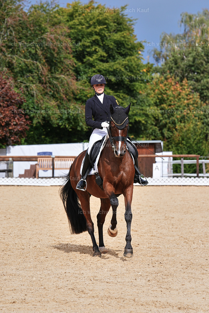 11-003-Dressur S___-Marixx-1730 | working equitationturnier fotograf videograf stoibphotography marixx film working equitation deutschland reitsport turnierfotografie eventfotografie equestrian events