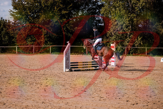 2026_10_03_Siefer-Hof_154109_Z81_57319797 | Professionelle Reitsport-, Turnier- und Eventfotografie von Robert Broda. Galerien mit ausgewählten und bearbeiteten Bildern direkt online ansehen und bestellen.