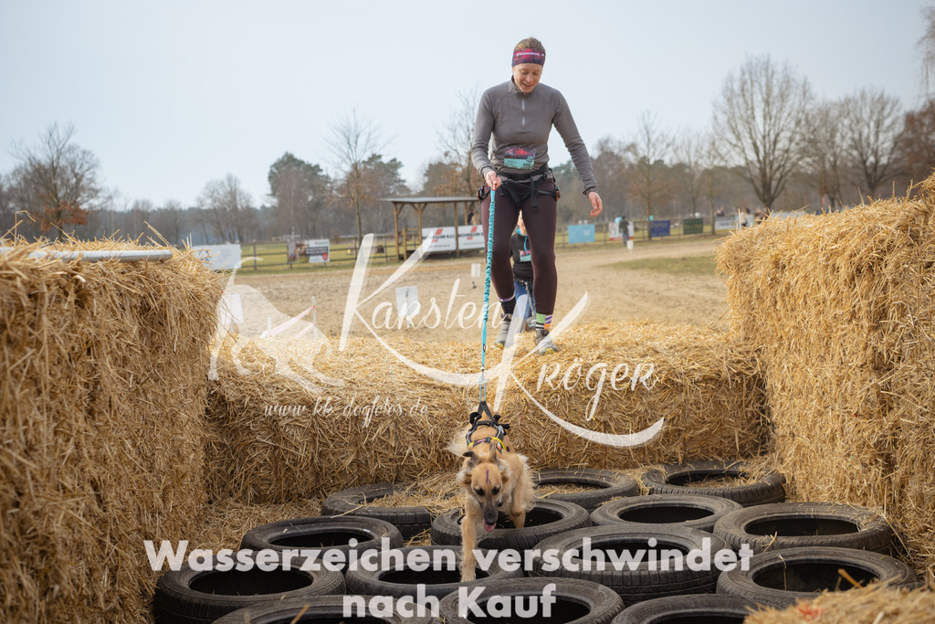 1047_ZZ99183 | kk-dogfotos